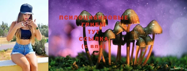 кристаллы Алзамай