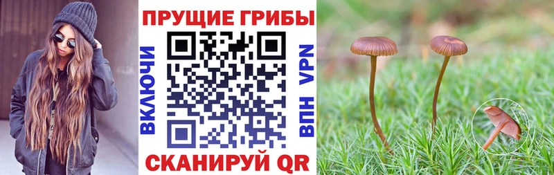 это официальный сайт  Раменское  Псилоцибиновые грибы Cubensis 